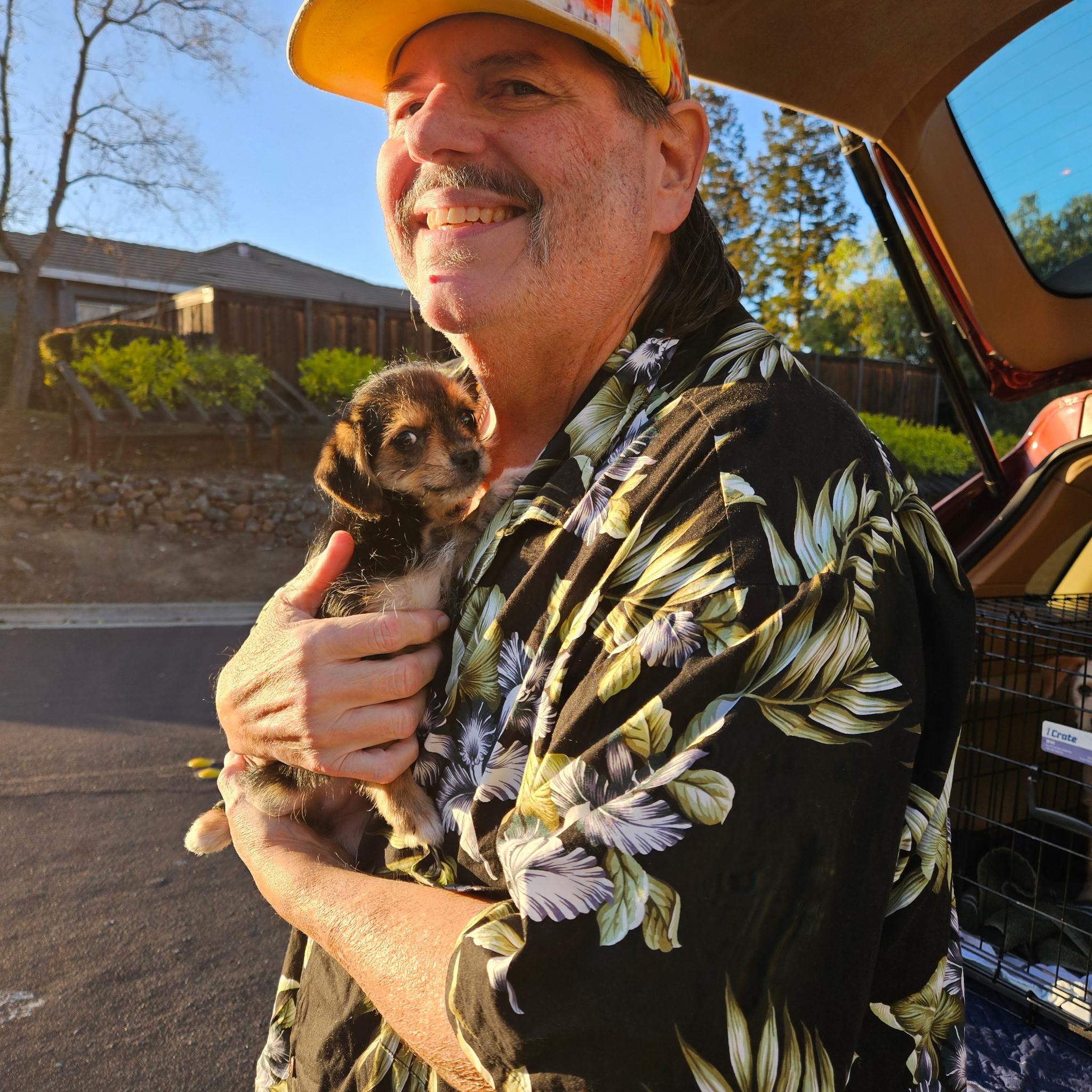 Enlarge Merrybell, a ADOPTABLE mixed breed in clayton , CA image 4/5