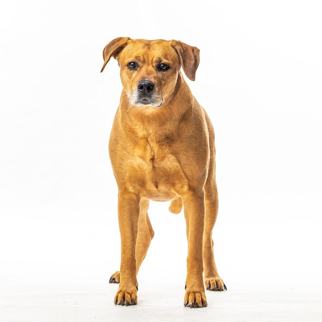 Octavia — thumbnail 2