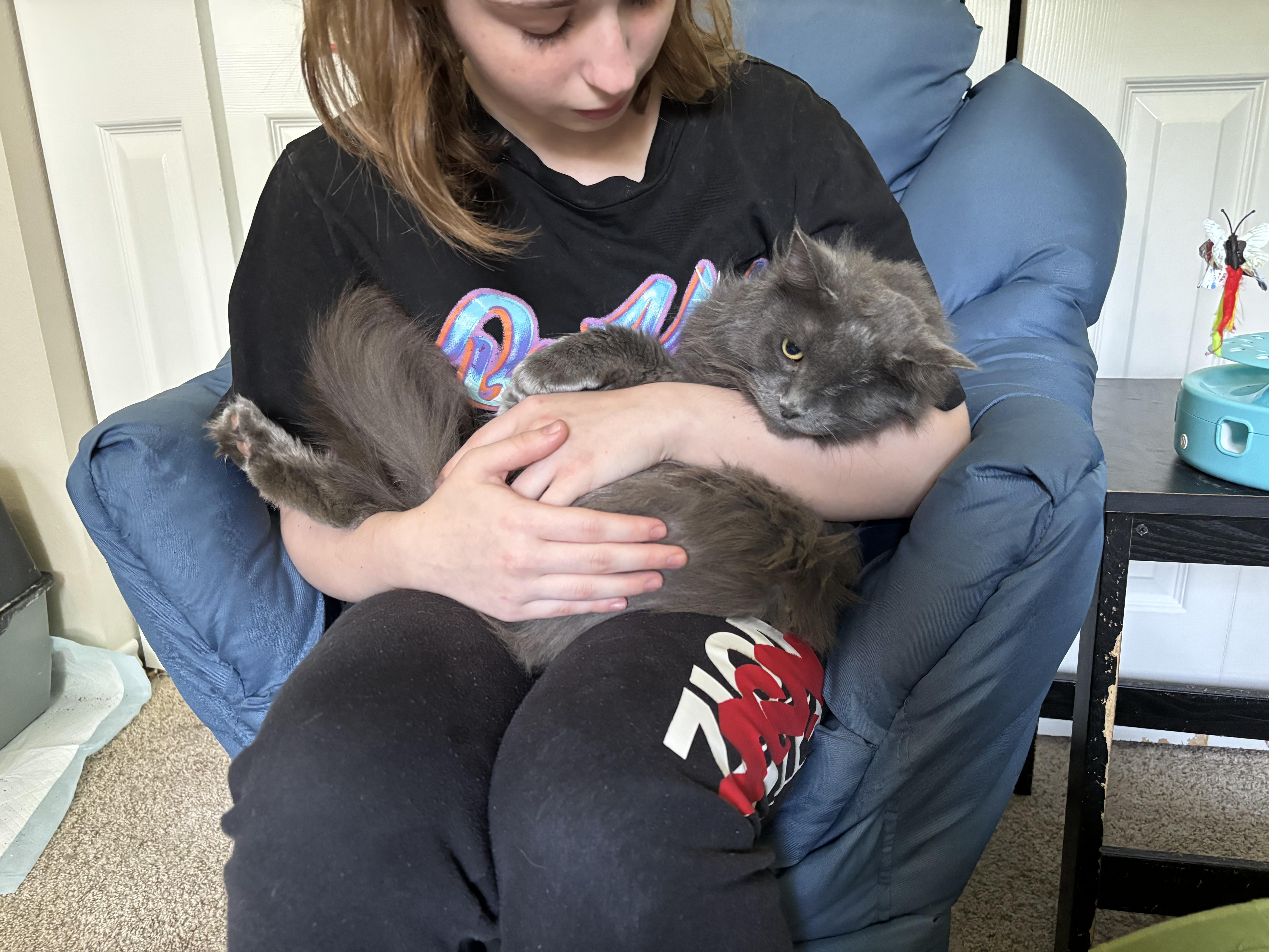 Andi