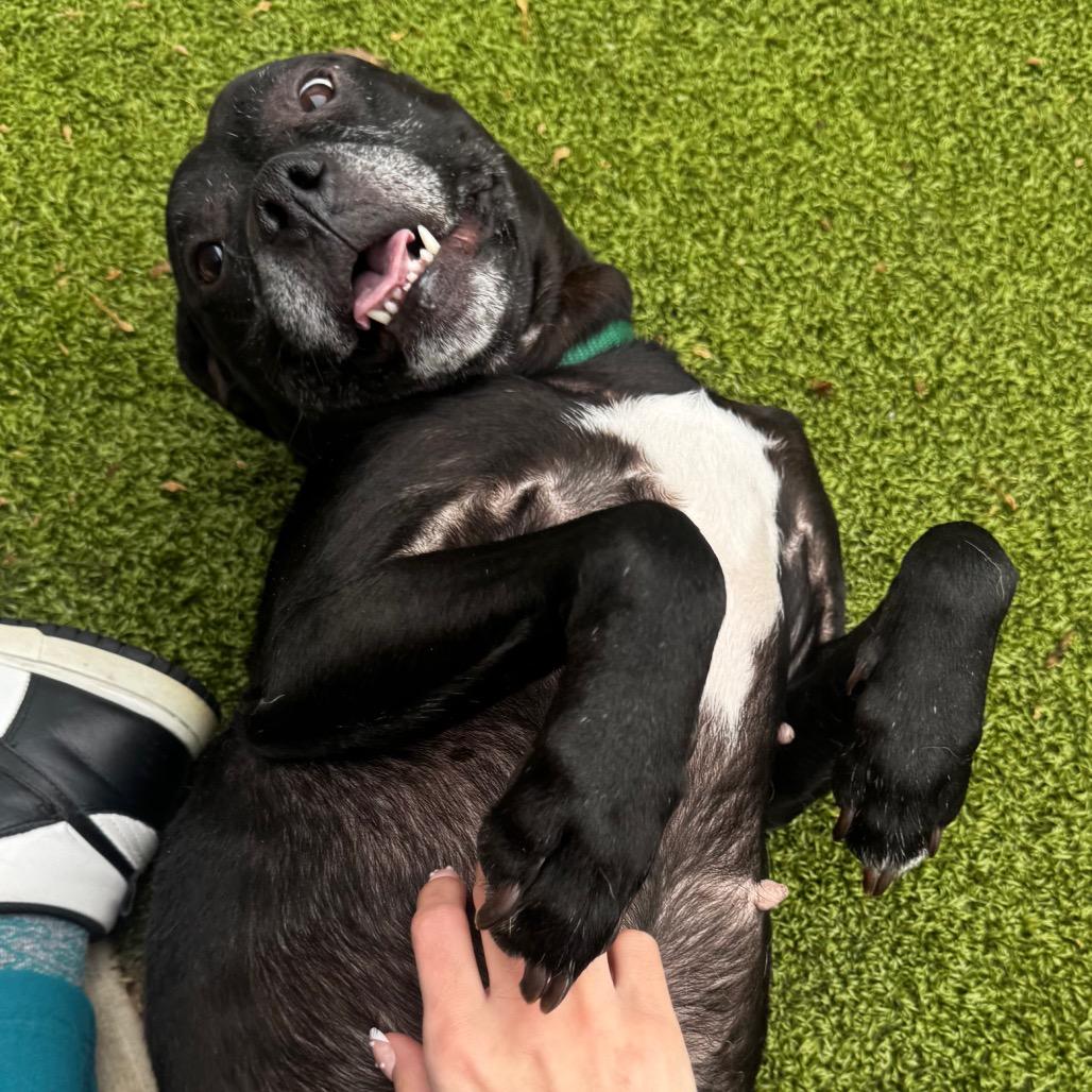 Aspen — thumbnail 2