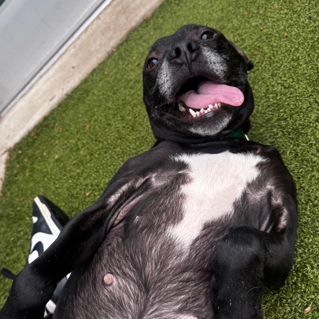 Aspen — thumbnail 3