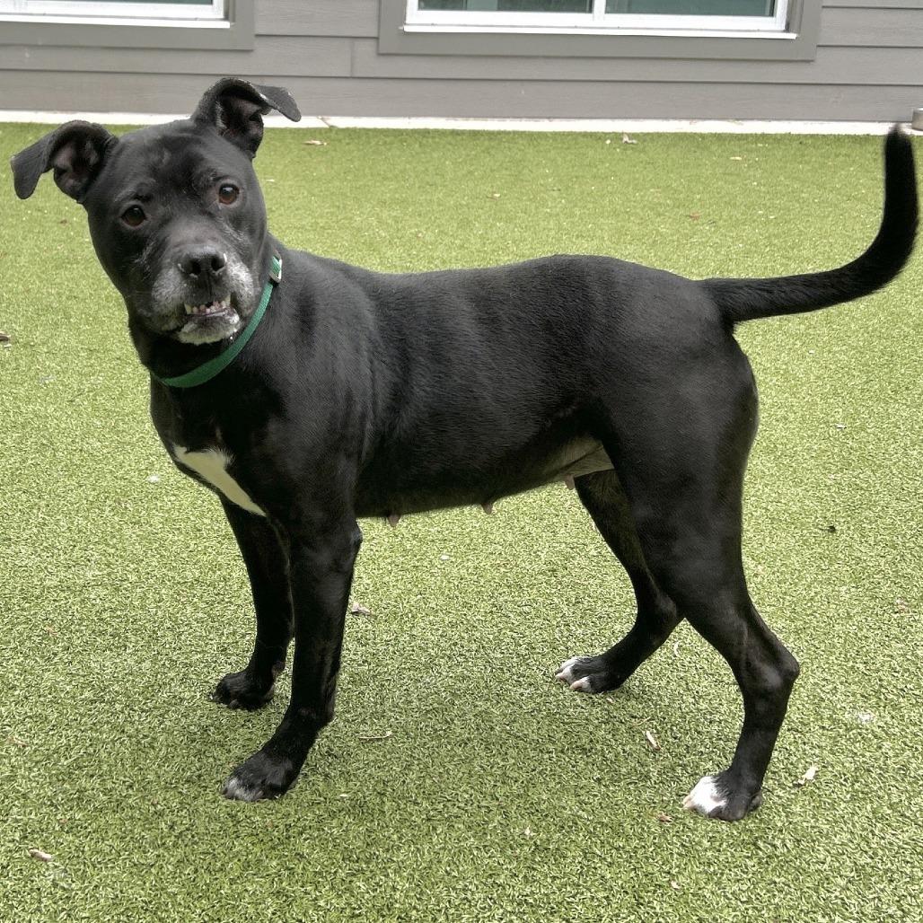 Aspen — thumbnail 4