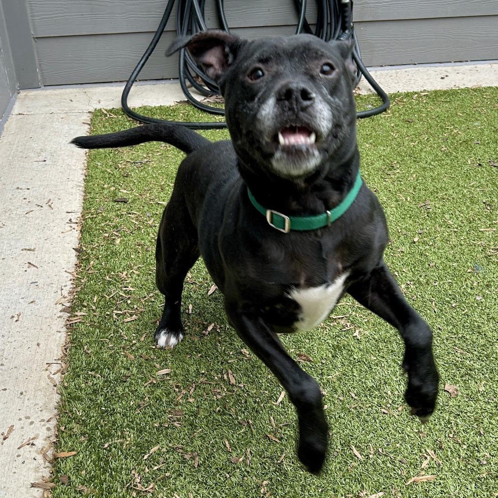 Aspen — thumbnail 5