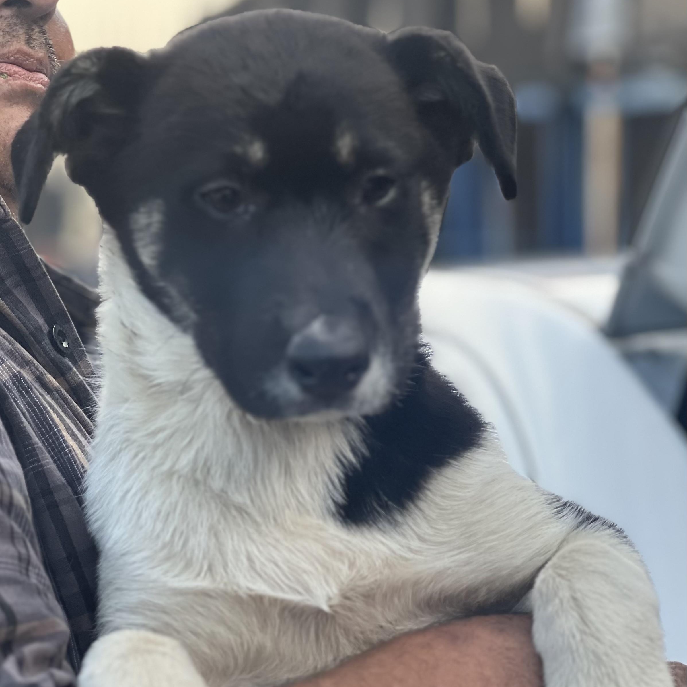 Nyla~ Sensitive And Calm