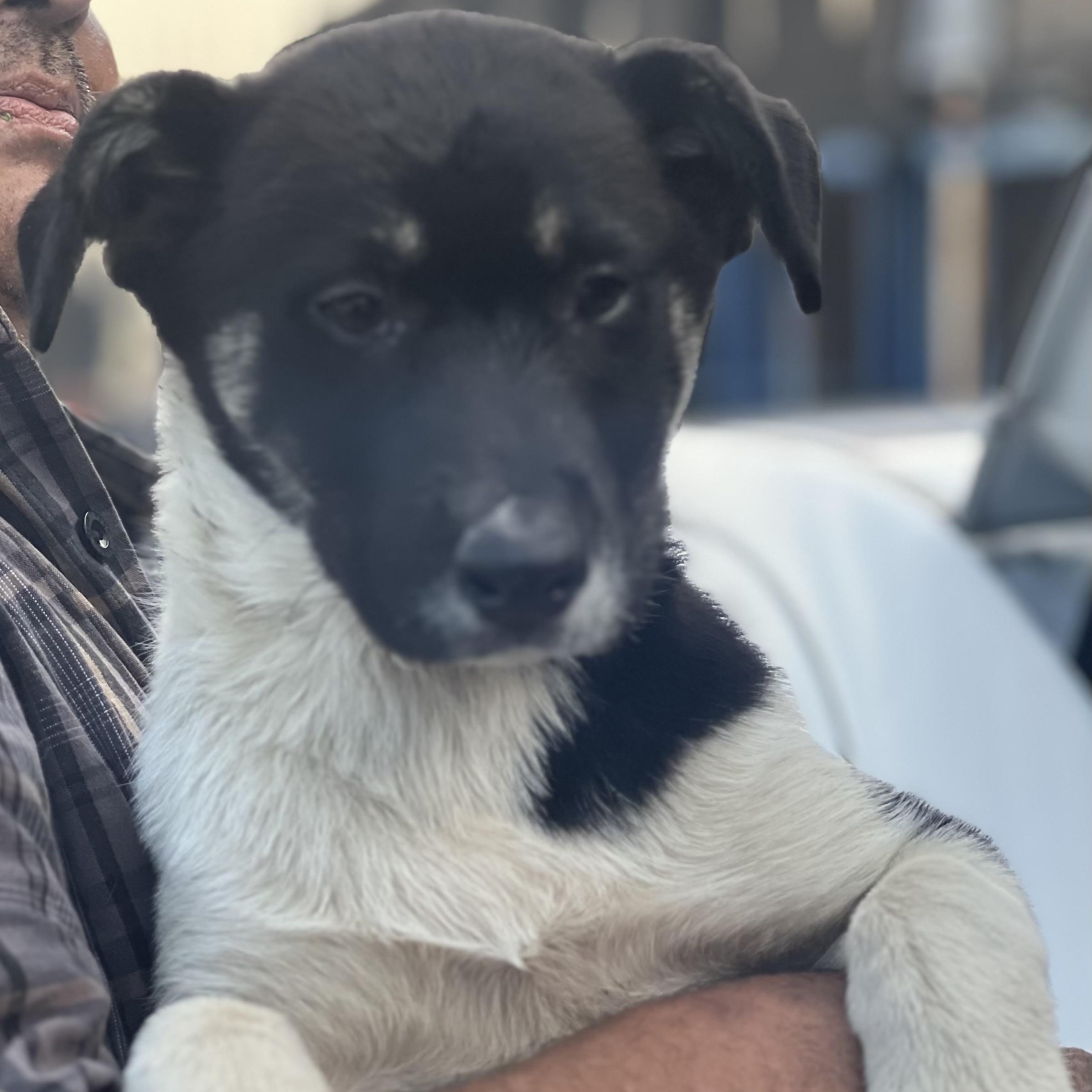 Nyla~ Sensitive And Calm thumbnail 3