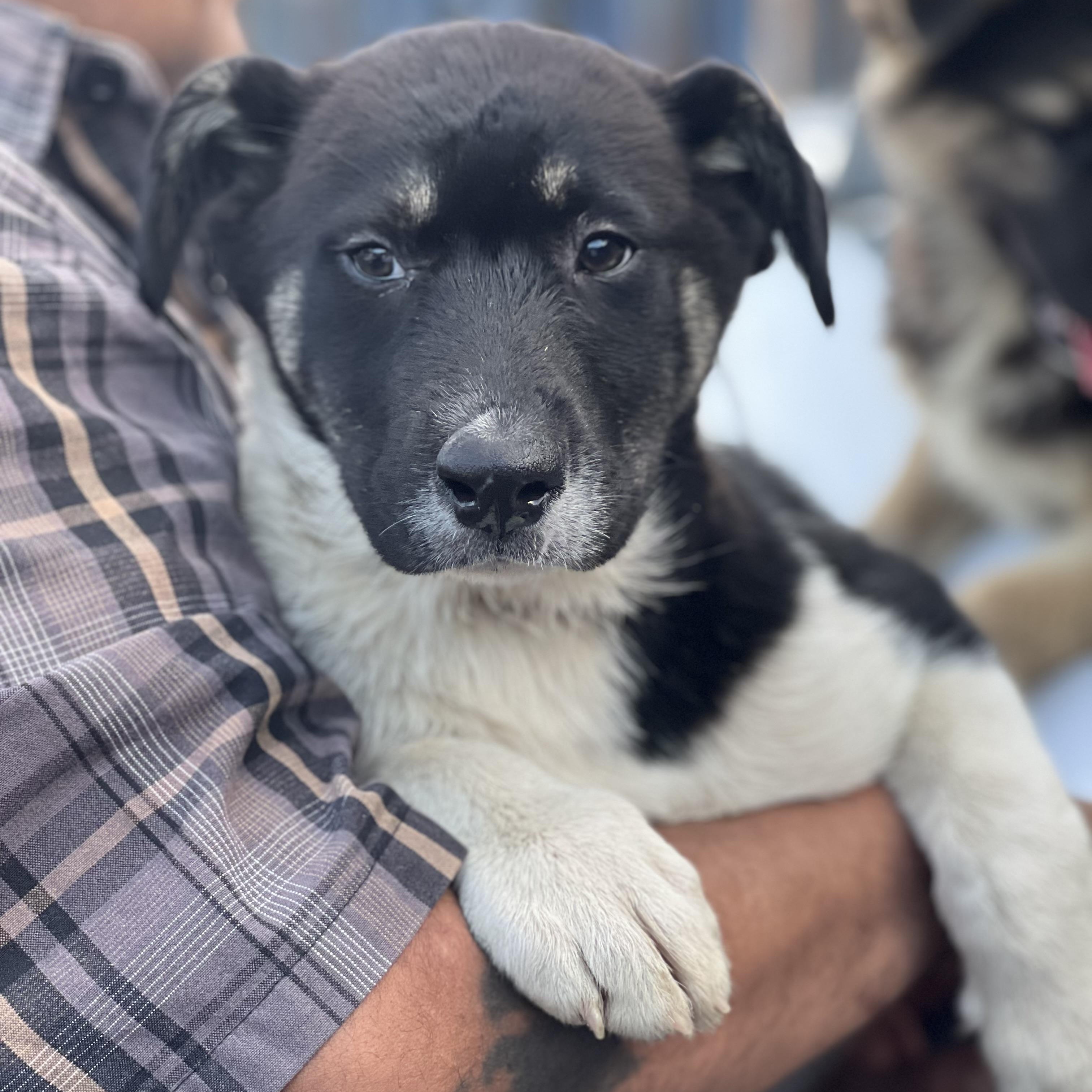 Nyla~ Sensitive And Calm thumbnail 4