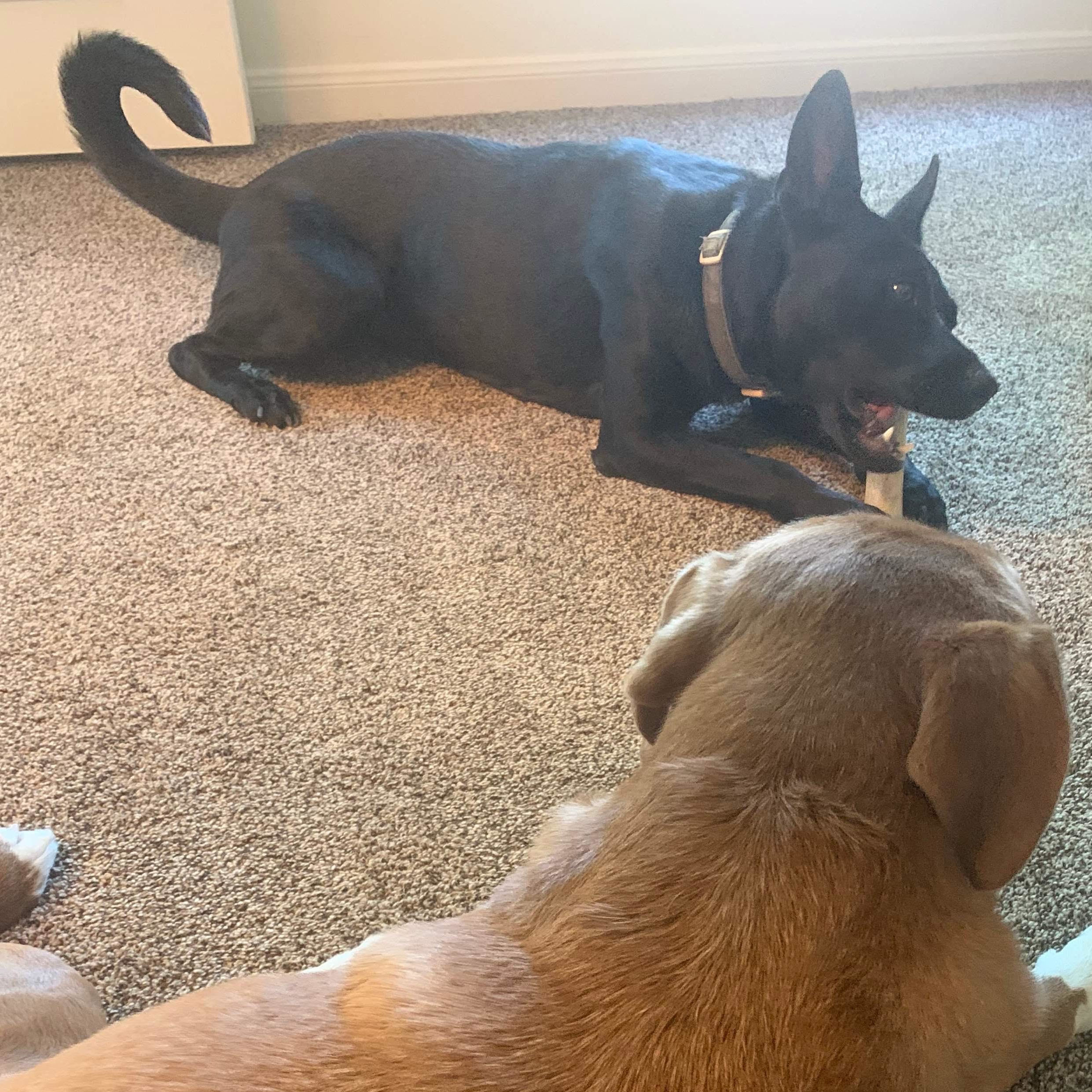 MISS LUNA — thumbnail 5