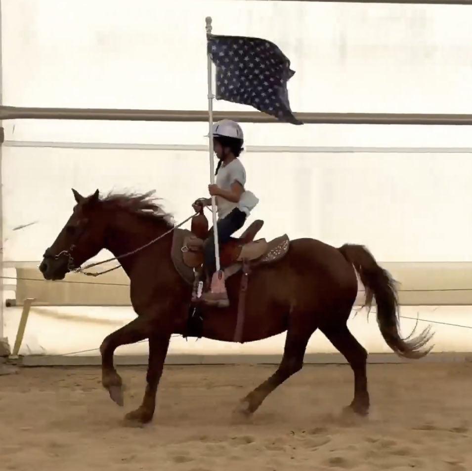 Aurora, a Adoptable Mustang in Upper Sandusky, OH image 2/5