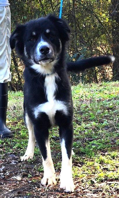 251746 Nana Banana — thumbnail 2