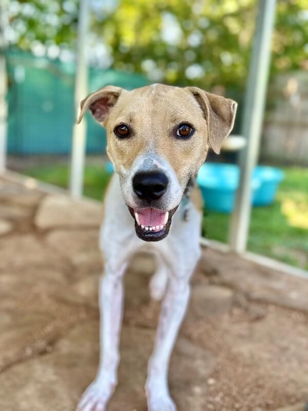 Winston Waldo Wiggly Dude