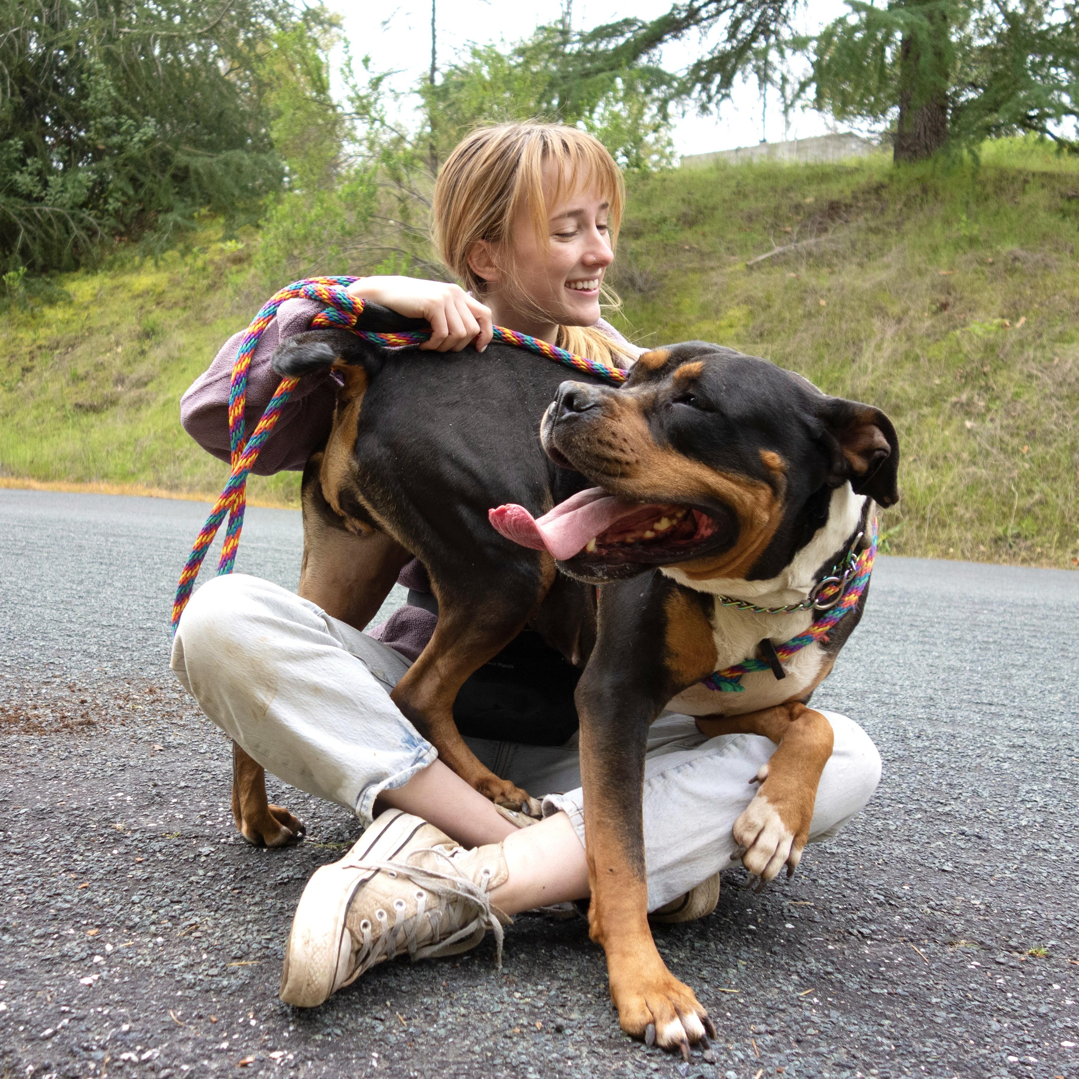 Enlarge Lizzy, a Adopted mixed breed in Livermore, CA image 2/6