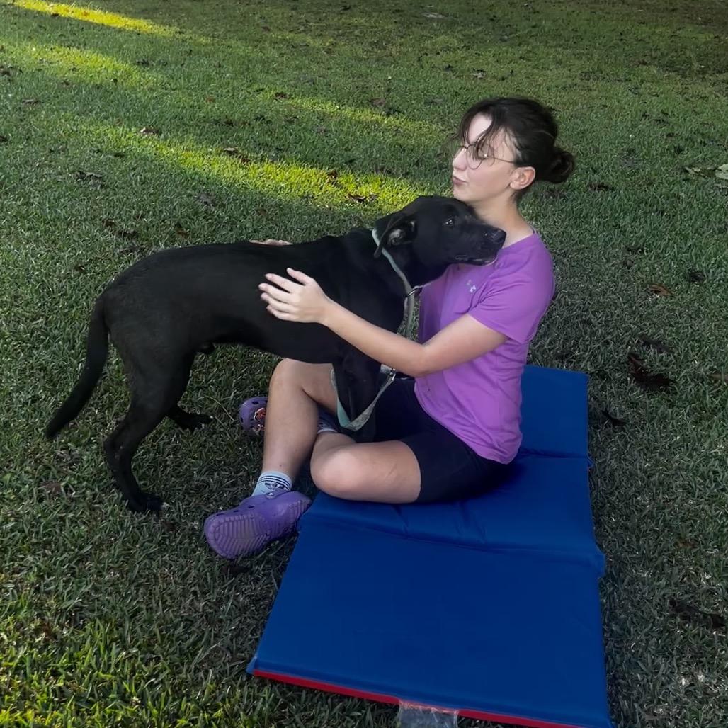 Willy, a Adoptable mixed breed in Oakdale, LA image 2/4