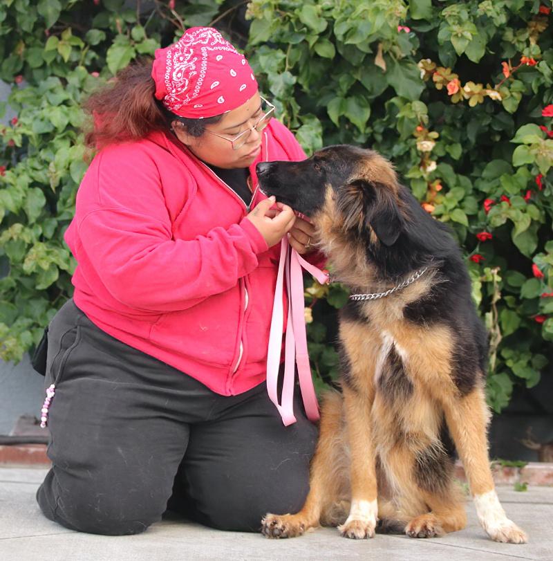 Enlarge *Juno von Geldern, an adopted mixed breed in Los Angeles, CA image 2/6