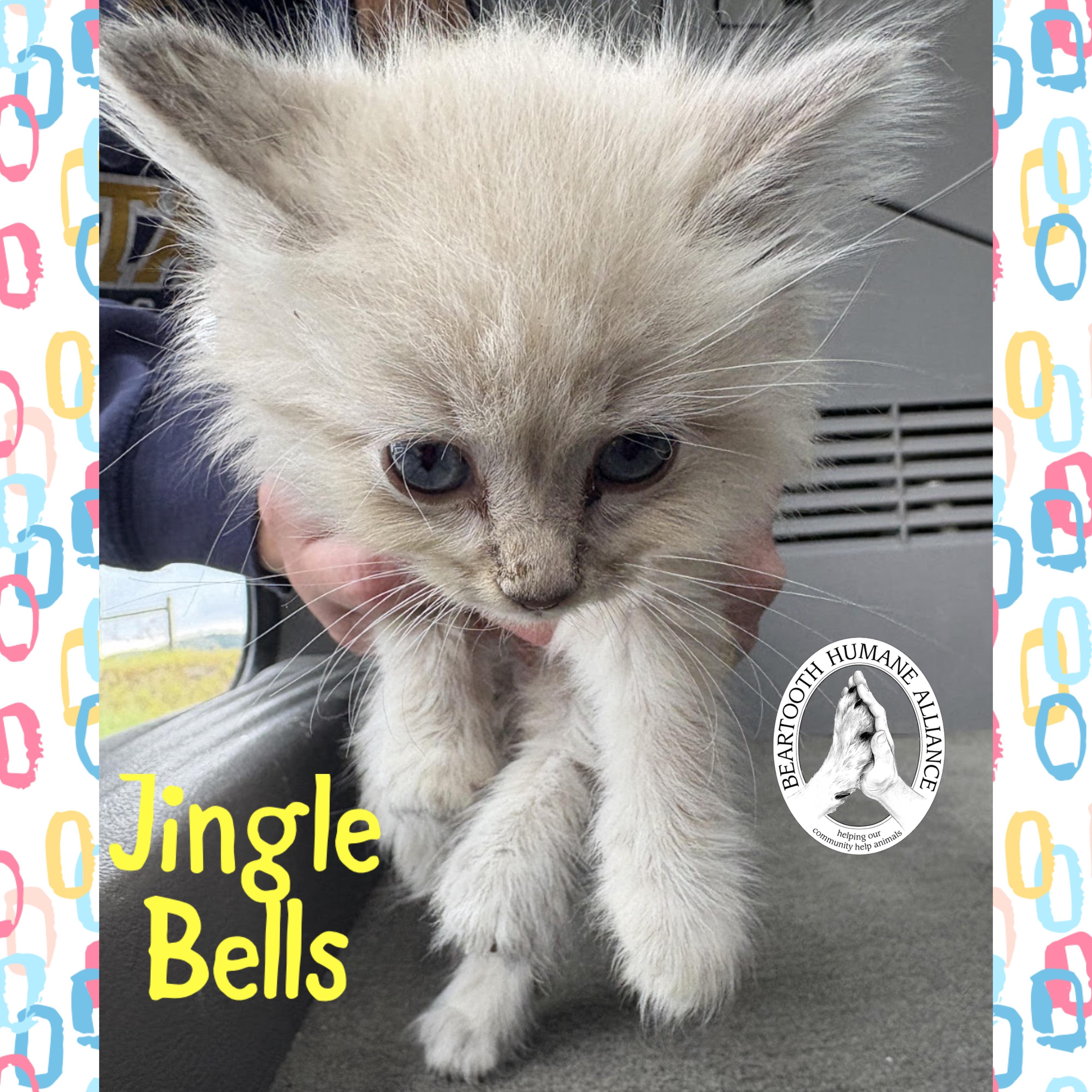 Jingle Bells, Baby Female unknown