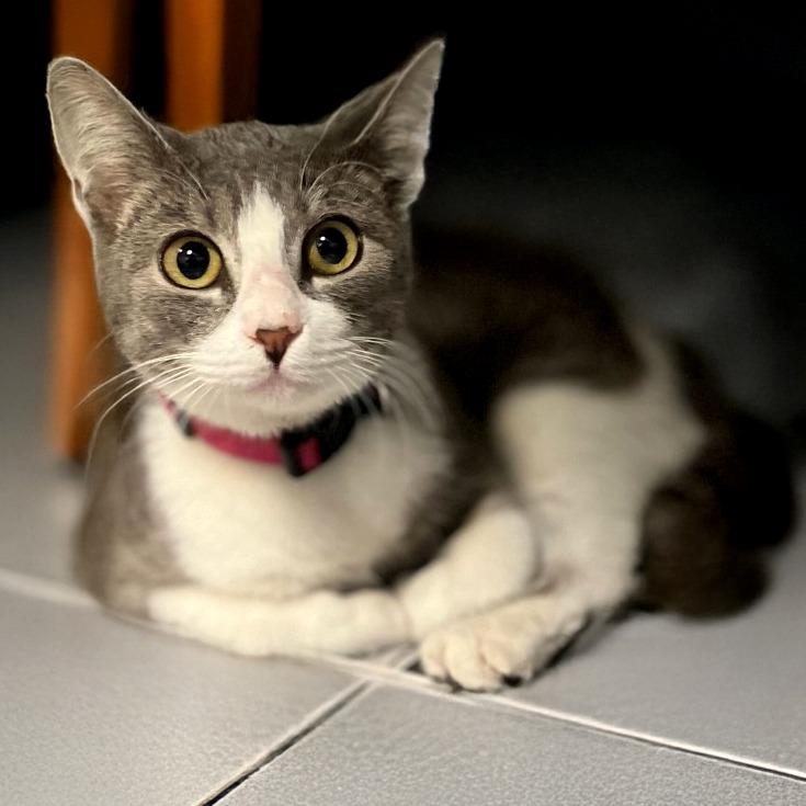 Bubbles — thumbnail 2