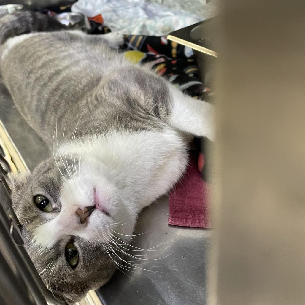 Bubbles — thumbnail 3