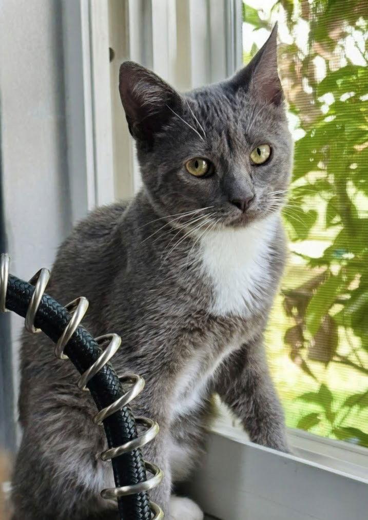 Scrabble 11.3.25 — thumbnail 2