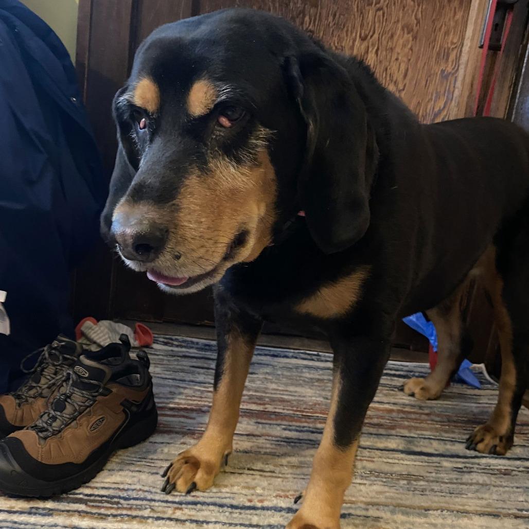 Winny D6616 — thumbnail 2