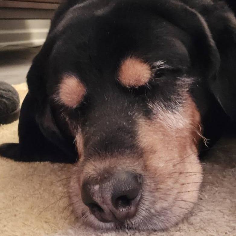 Winny D6616 — thumbnail 4