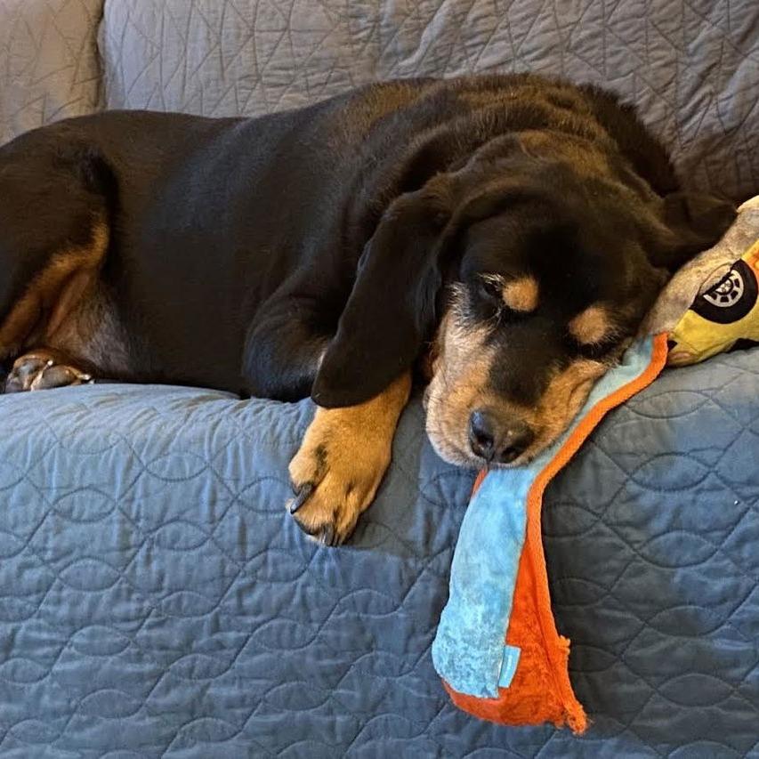 Winny D6616 — thumbnail 5