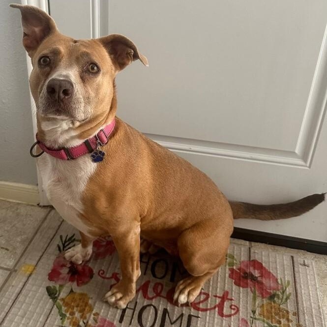 Leoni Roe Lover Girl — thumbnail 4