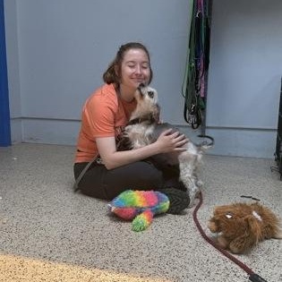 Enlarge Cilas, an adopted mixed breed in Philadelphia, PA image 2/4
