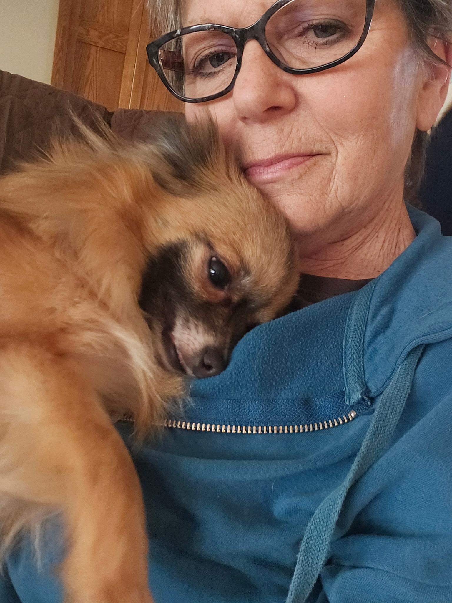 Enlarge Kirby, an adopted mixed breed in Cedar Rapids, IA image 4/6