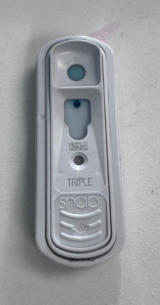 Enlarge Mama Bella, a Adoptable mixed breed in Johnson City, TN image 4/6