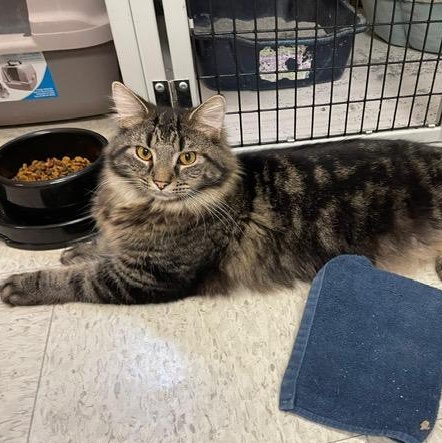 Conway & Dash – Double the Charm, Double the Love