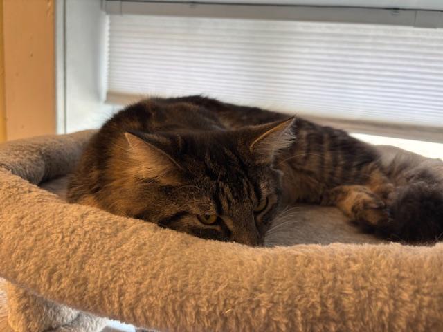 Conway & Dash – Double the Charm, Double the Love