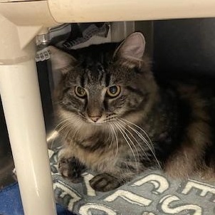 Conway & Dash – Double the Charm, Double the Love