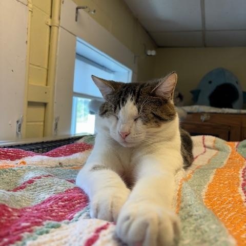 Conway & Dash – Double the Charm, Double the Love