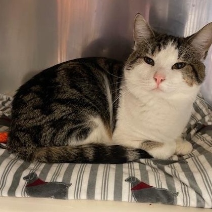 Conway & Dash – Double the Charm, Double the Love