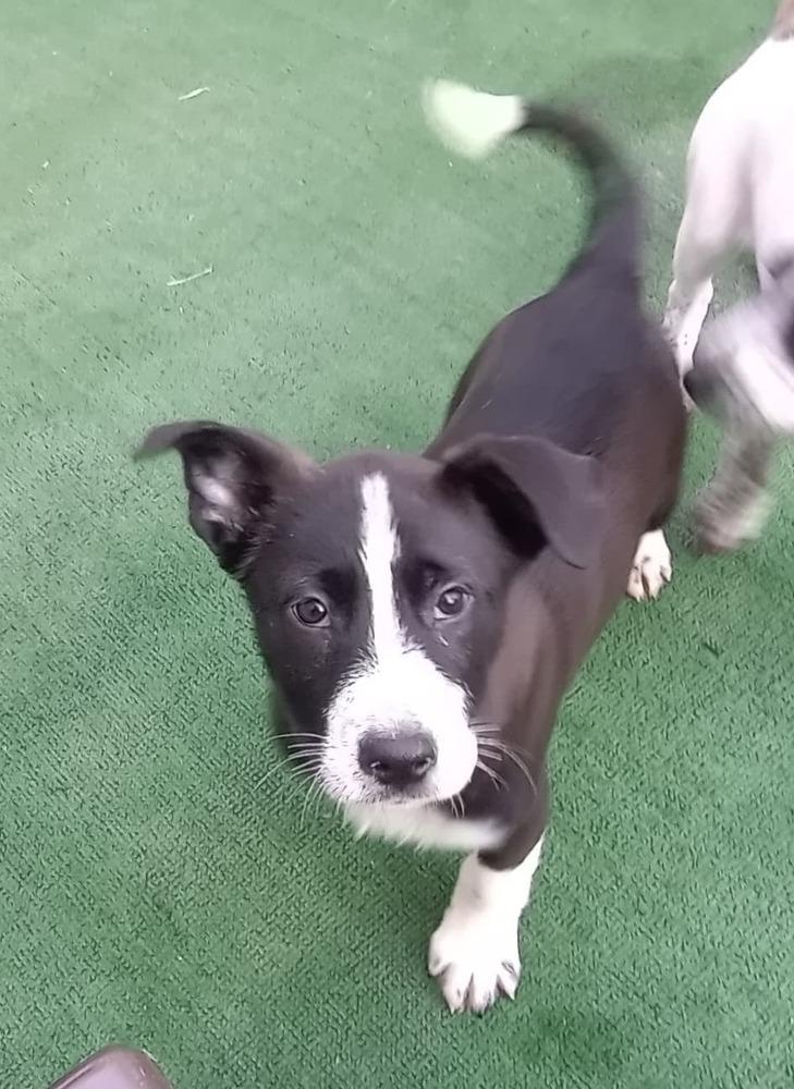 Poison : Bobby thumbnail 5