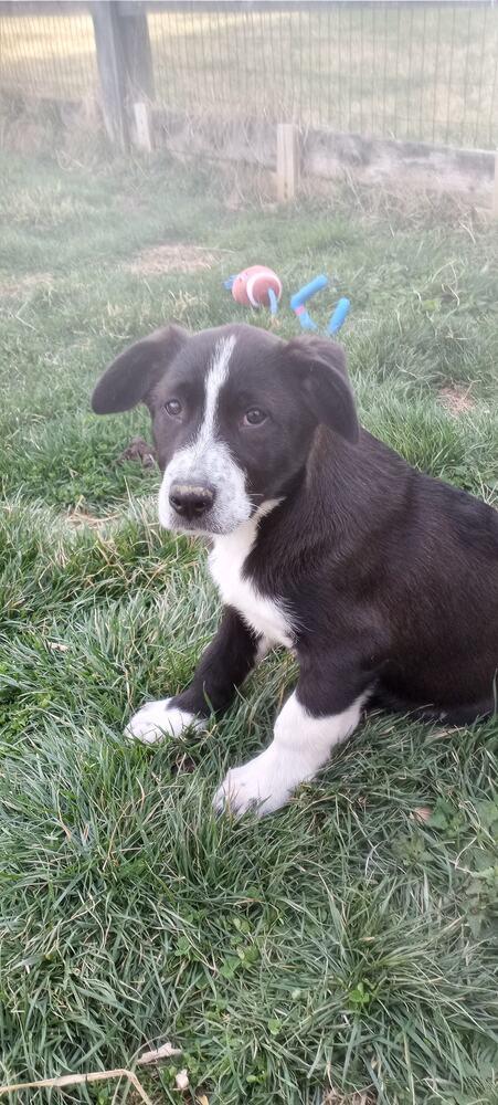 Poison : Bobby thumbnail 6