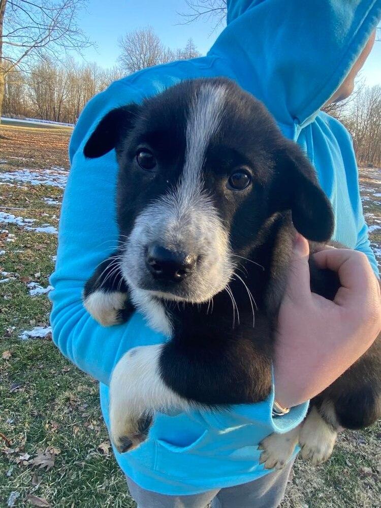 Poison : Bobby thumbnail 7