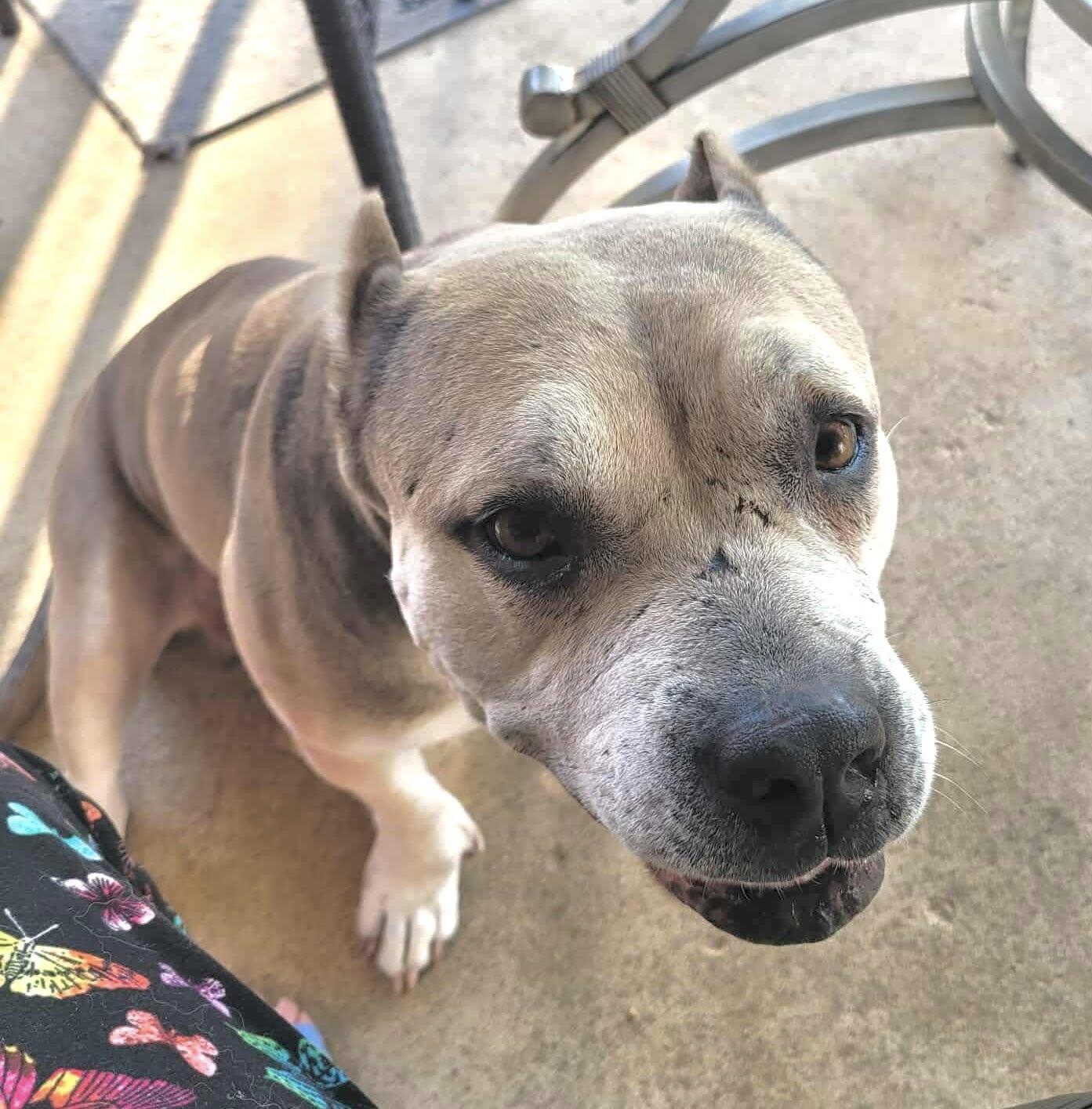 Athena AB — thumbnail 4