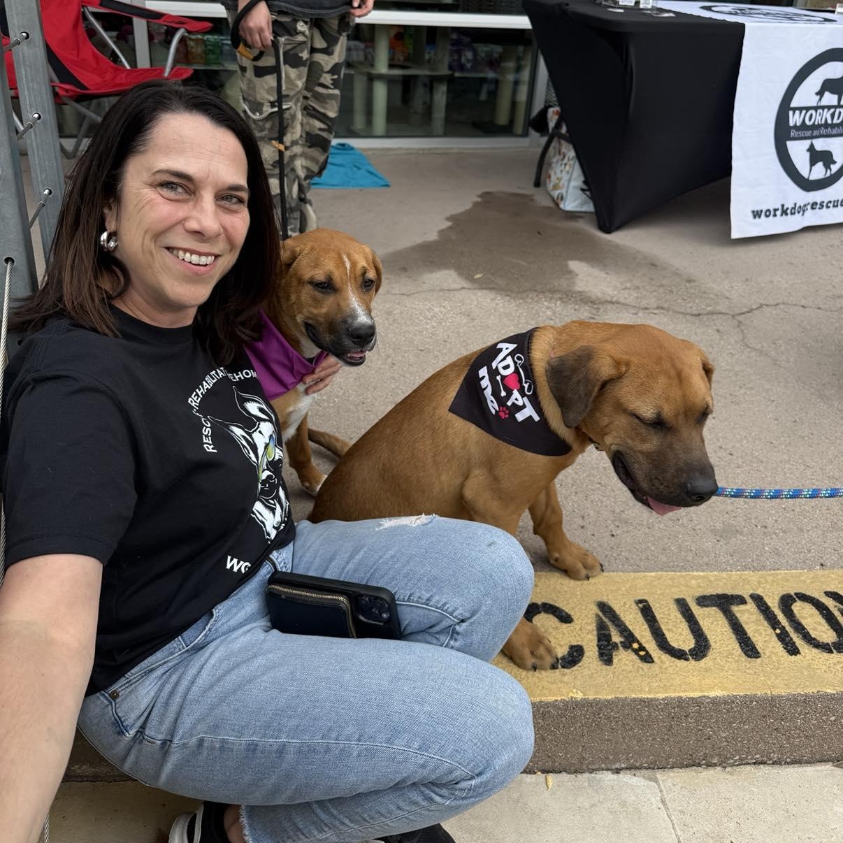 Enlarge Boots, a ADOPTABLE mixed breed in Lockhart, TX image 3/6