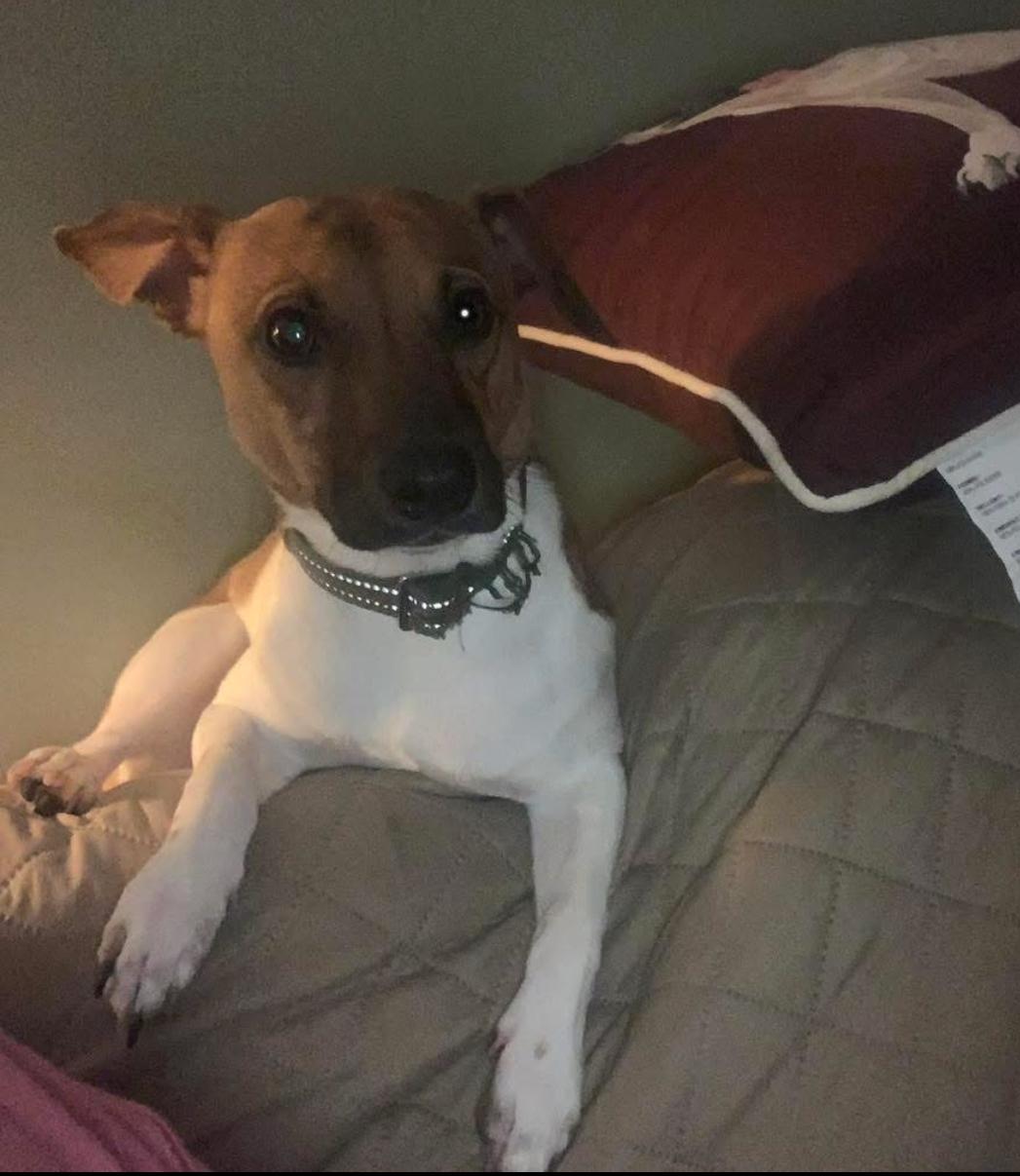 Jax
