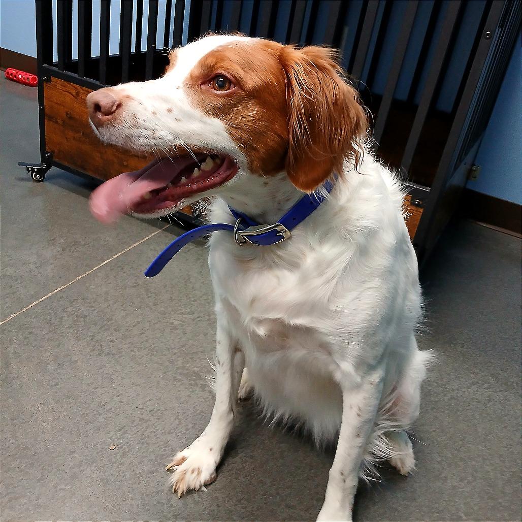 Annie — thumbnail 2