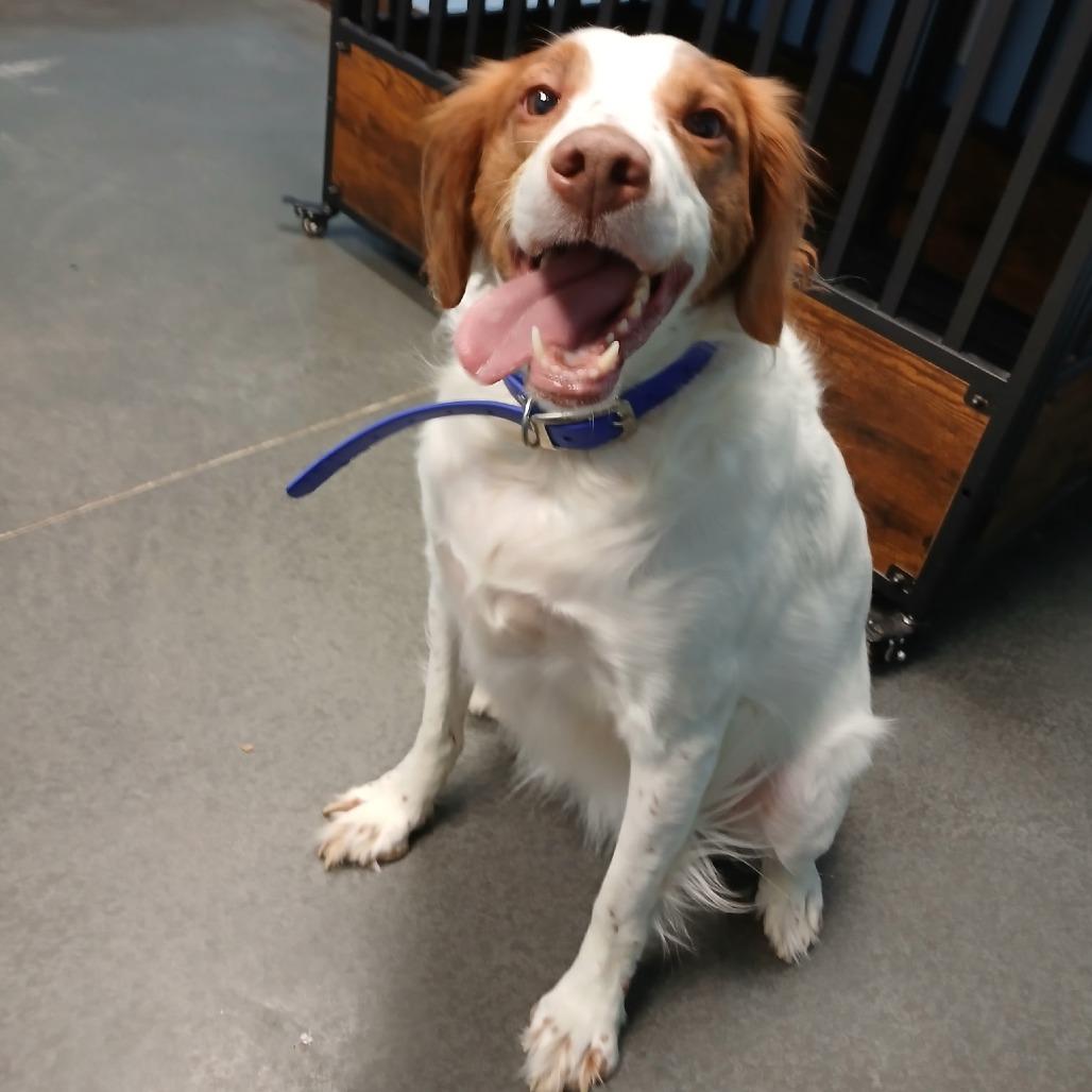 Annie — thumbnail 3