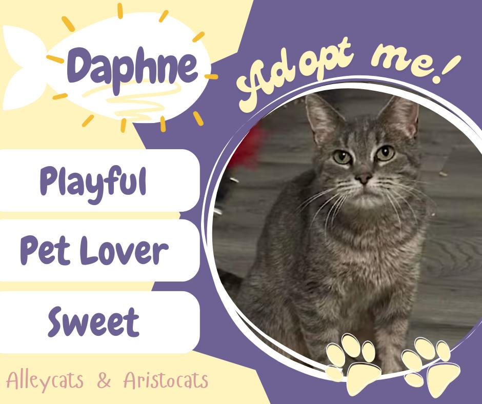 Daphne photo 1
