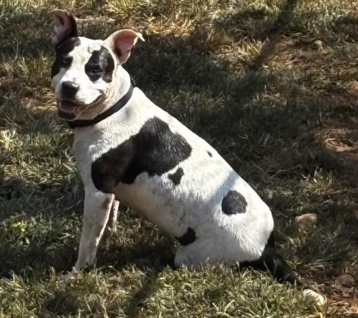 Patches