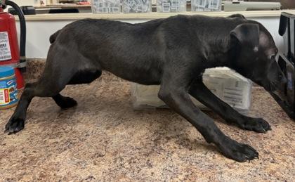 Dream Float thumbnail 3