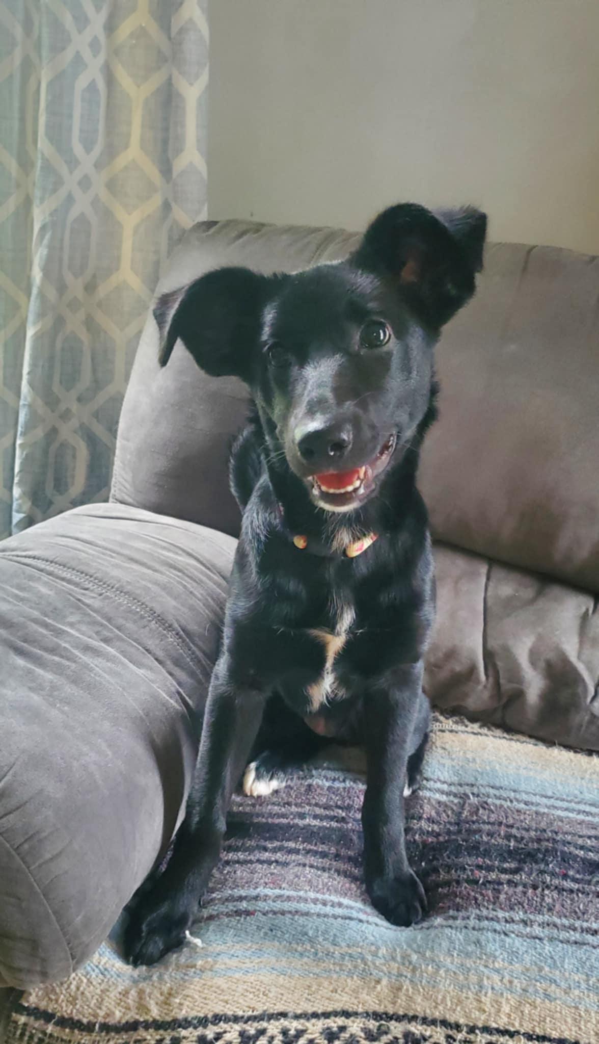 Betty photo 2