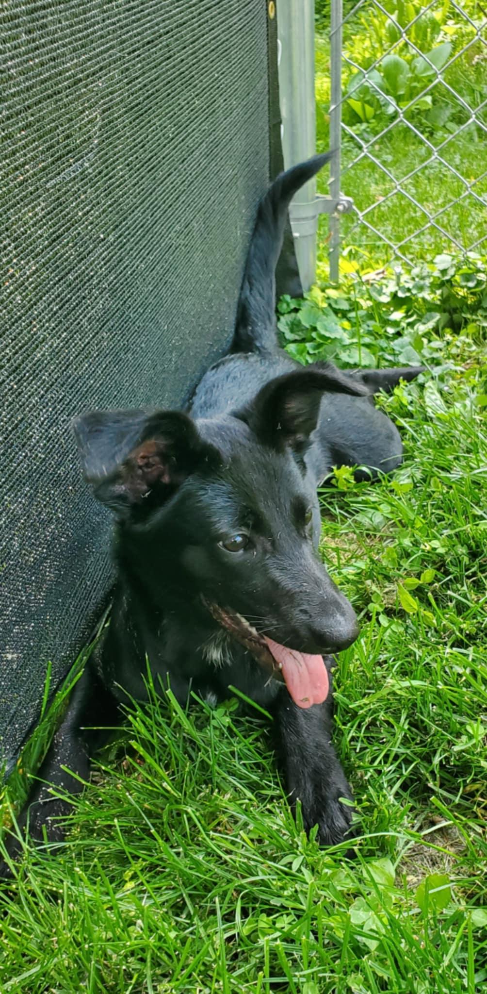 Betty photo 4