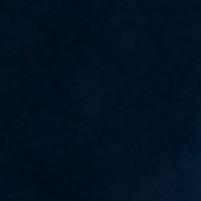 Garfield, Adoptable, Young Male Domestic Short Hair.