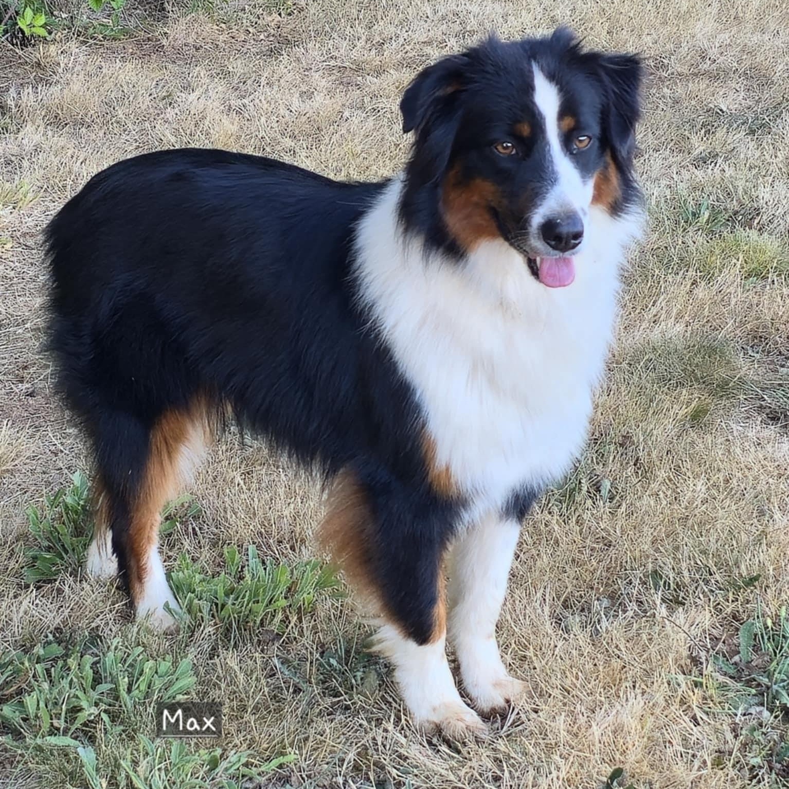 Magical Max