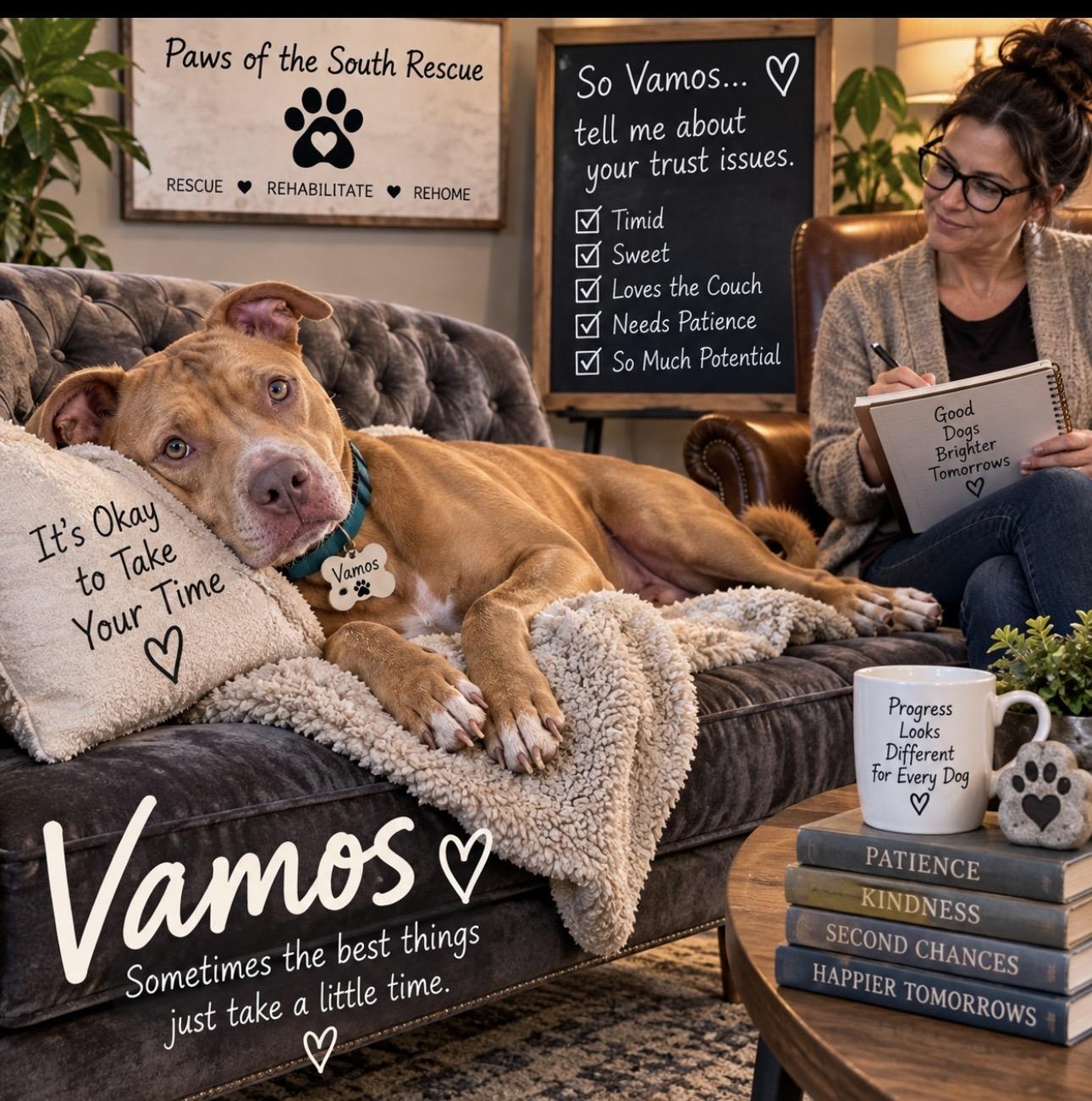 Enlarge Vamos, a Adoptable mixed breed in CUMMING, GA image 2/5