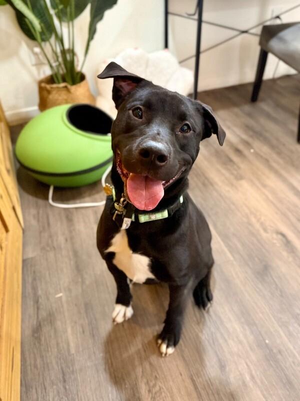 Buzz Lightyear to Infinity and Your Heart — thumbnail 5